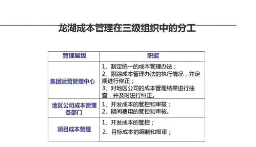 龙湖集团企业管理与运营的精细化管理及其软件开发实践