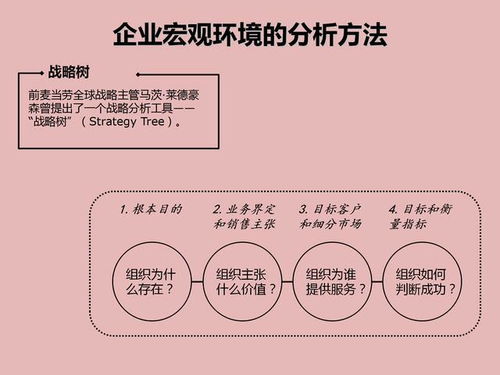 企业经营管理的29种工具 宏观分析 产品分析 5s 罗兰贝格等